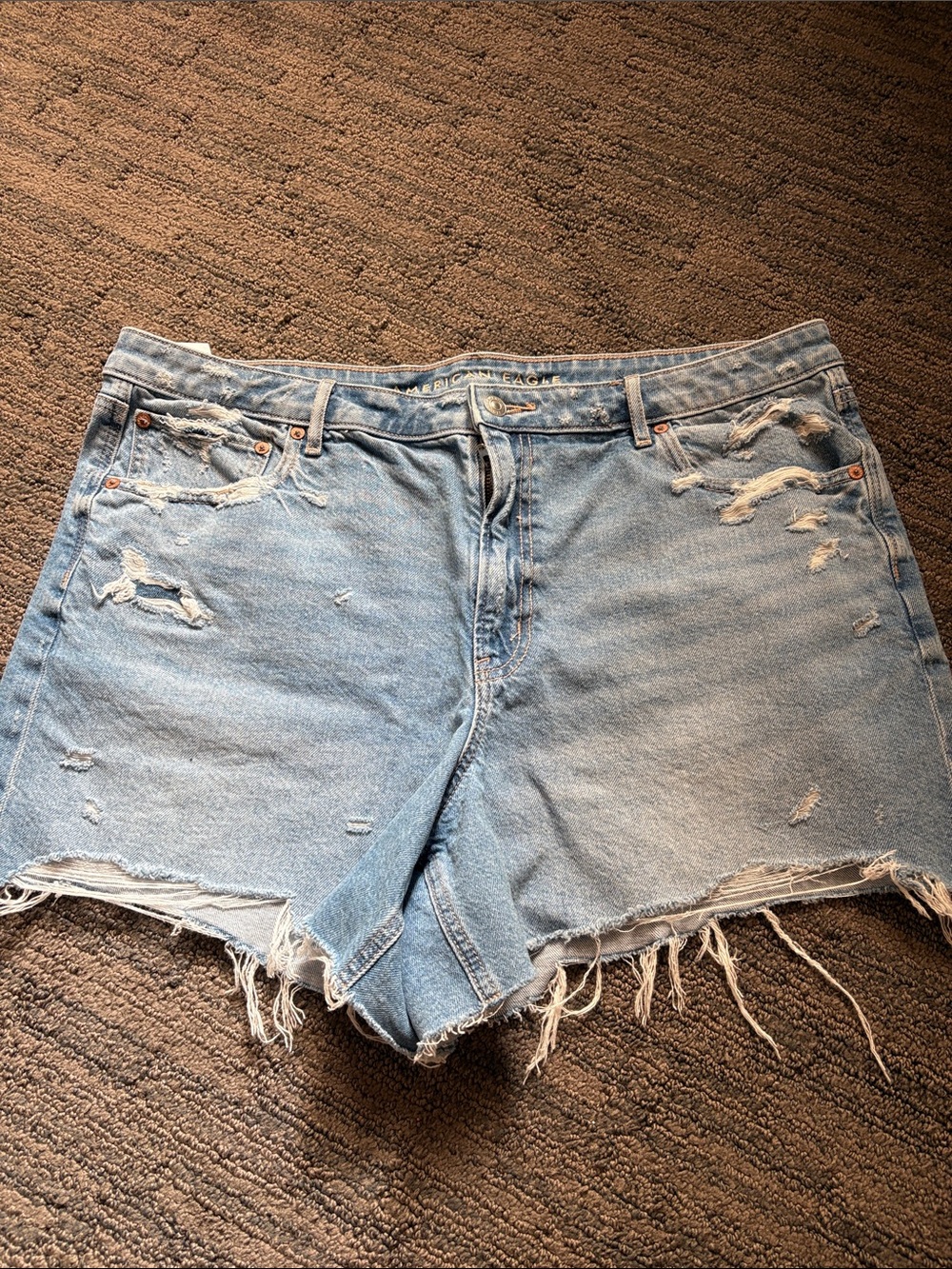 American Eagle Outfitters Relaxed Short Size 18